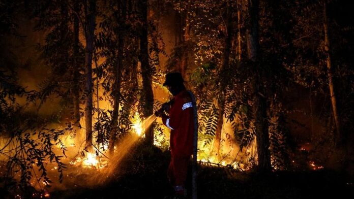 Kebakaran hutan