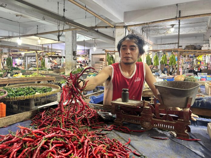 harga cabai naik