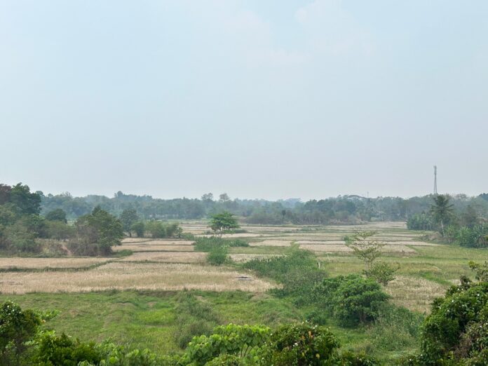 Sawah kering